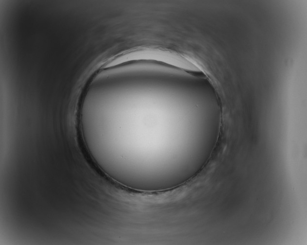 X0000088050007200705251331