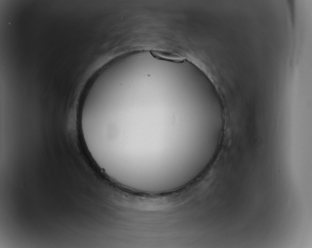 X0000088050008200705251331