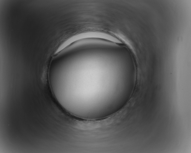 X0000088050009200705251331