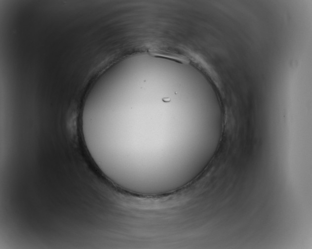 X0000088050010200705251331