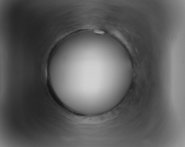 X0000088050011200705251331