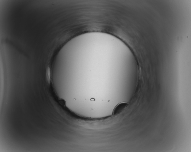 X0000088050013200705251331