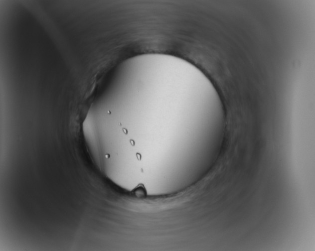X0000088050017200705251331