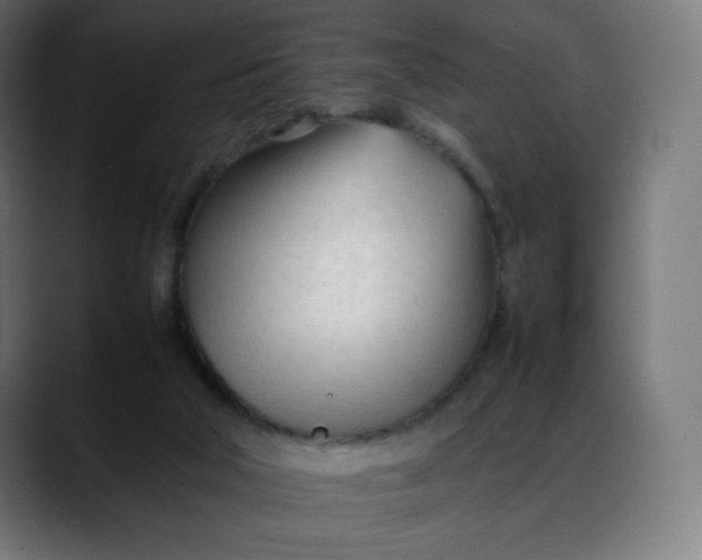 X0000088050018200705251331