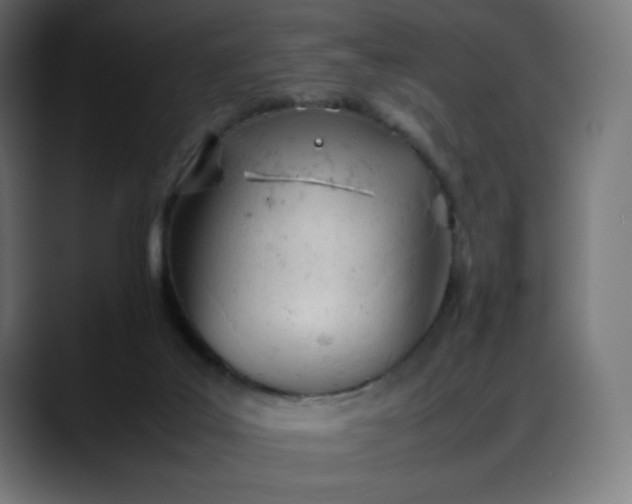 X0000088050019200705251331