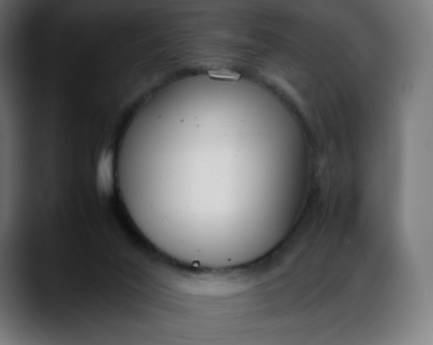 X0000088050020200705251331