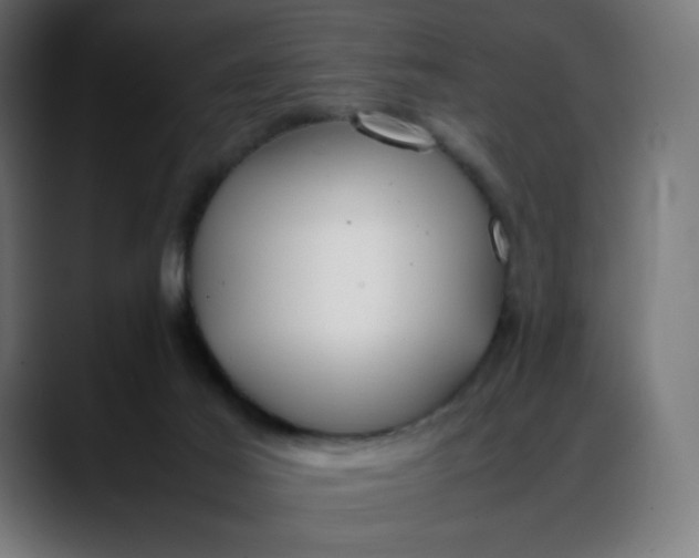 X0000088050021200705251331
