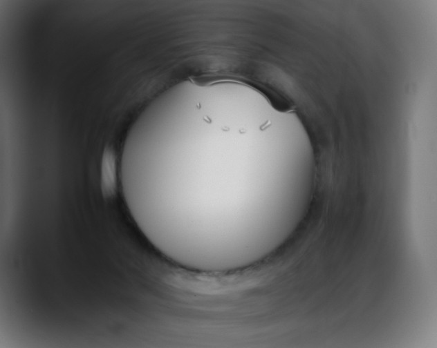 X0000088050022200705251331
