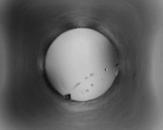 X0000088050023200705251331