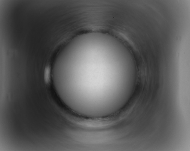 X0000088050024200705251331