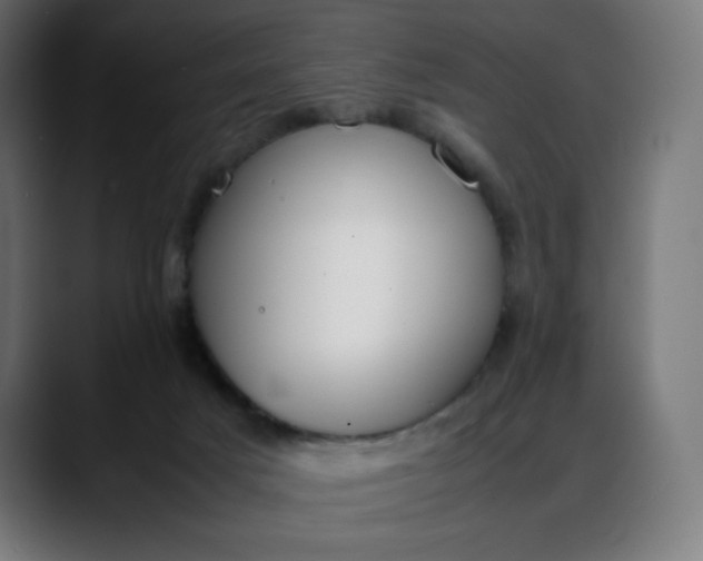 X0000088050025200705251331
