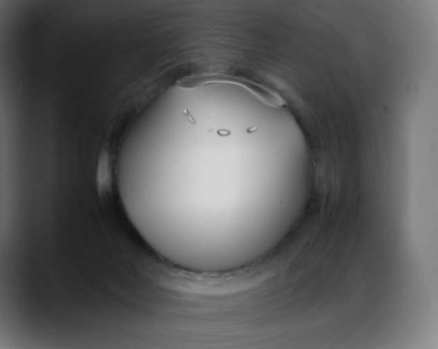 X0000088050026200705251331