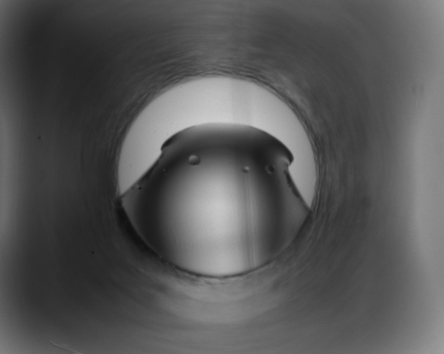 X0000088050027200705251331