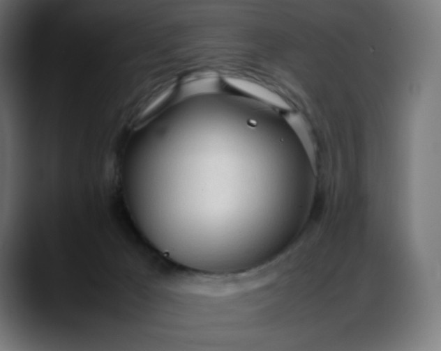 X0000088050029200705251331