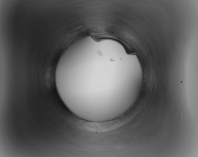 X0000088050030200705251331