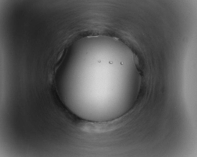 X0000088050033200705251331