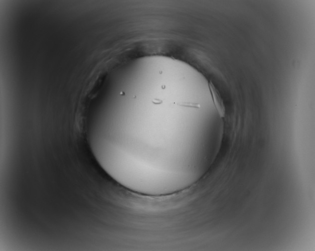 X0000088050035200705251331
