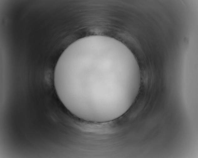 X0000088050036200705251331