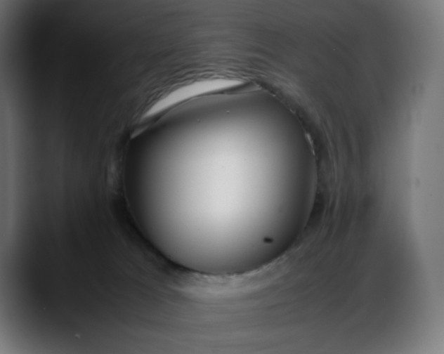 X0000088050037200705251331