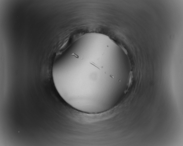 X0000088050039200705251331