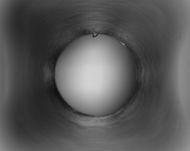 X0000088050040200705251331