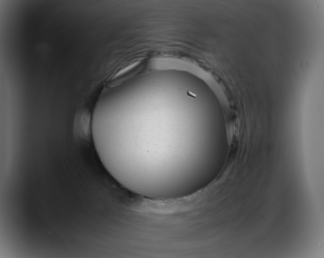 X0000088050041200705251331