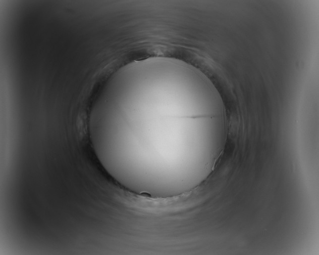 X0000088050043200705251331