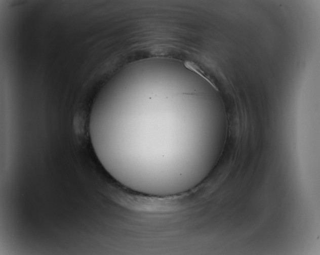 X0000088050044200705251331