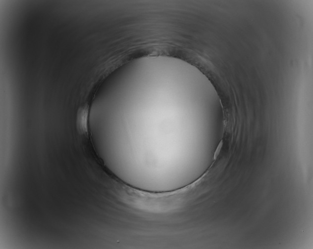 X0000088050047200705251331
