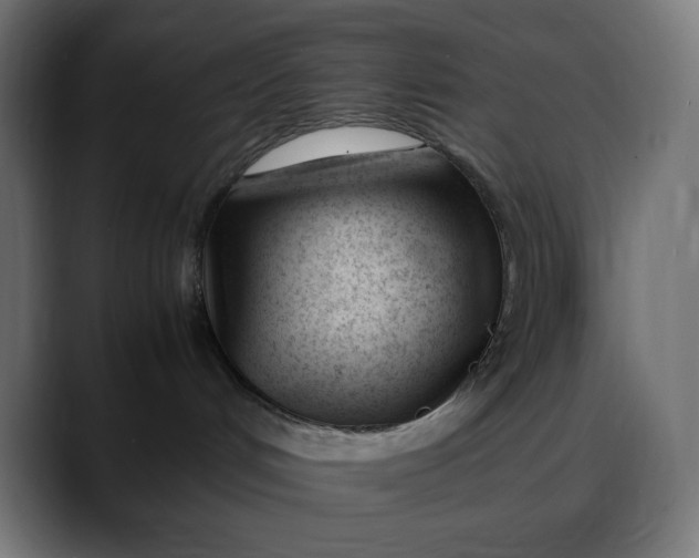 X0000088050048200705251331