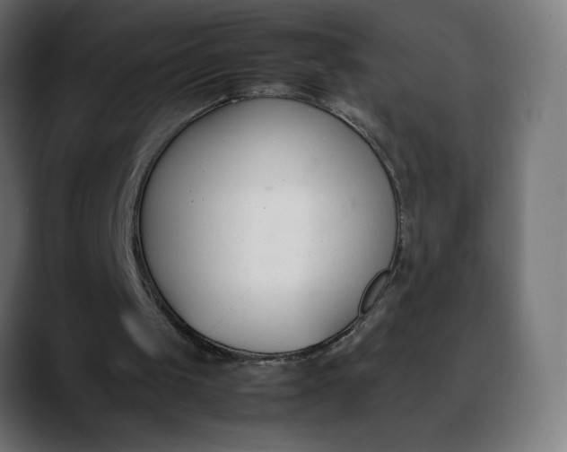 X0000088050049200705251330