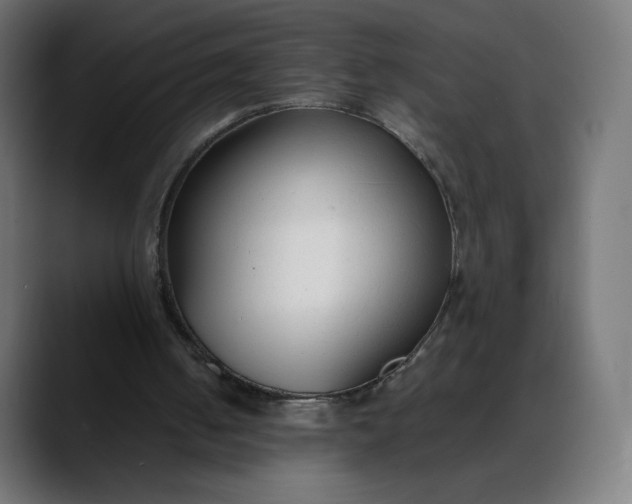 X0000088050050200705251330
