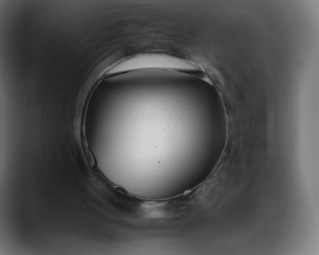 X0000088050051200705251330