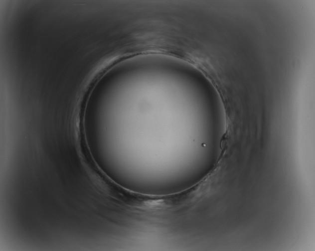X0000088050054200705251330