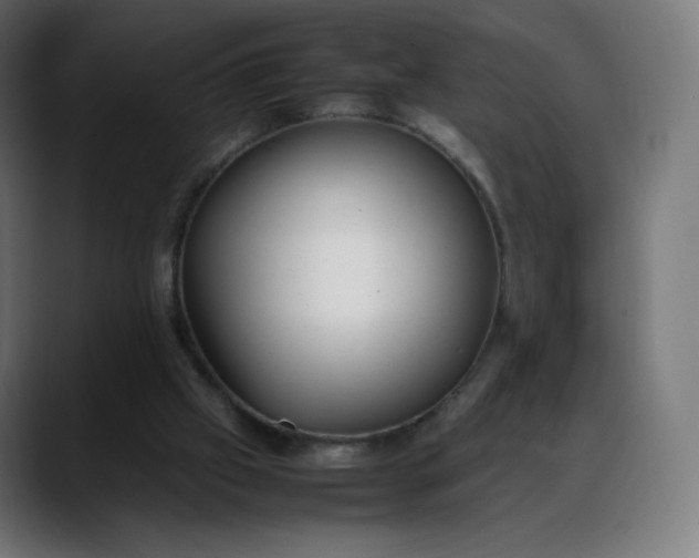 X0000088050057200705251330