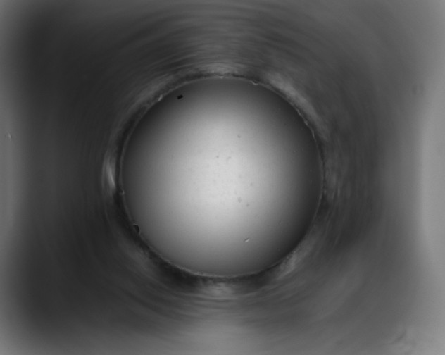 X0000088050062200705251330