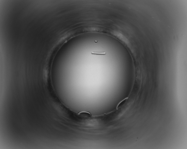 X0000088050063200705251330
