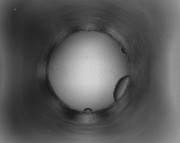 X0000088050065200705251331