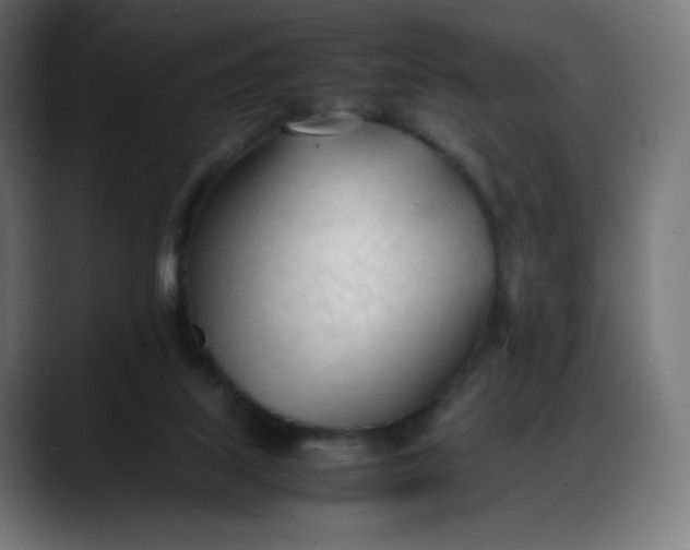 X0000088050067200705251331