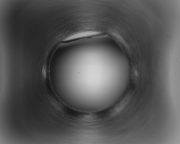 X0000088050068200705251331