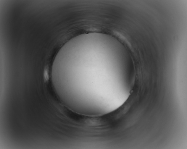 X0000088050069200705251331