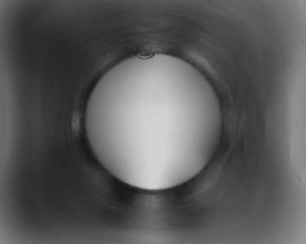 X0000088050071200705251331
