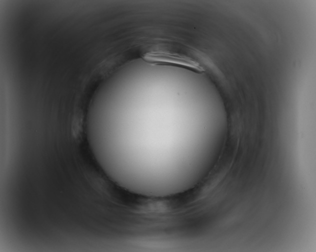 X0000088050073200705251331