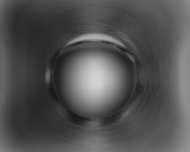 X0000088050076200705251331