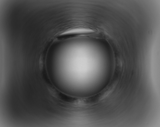 X0000088050080200705251331