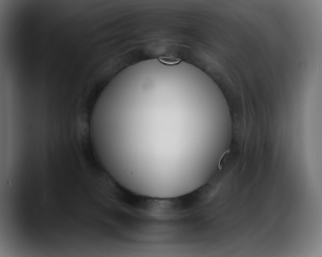 X0000088050085200705251331