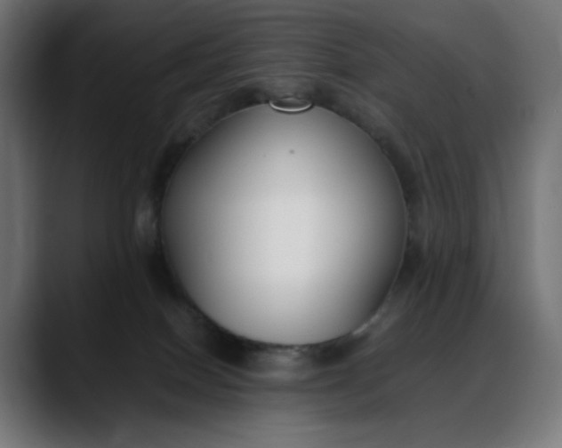 X0000088050086200705251331
