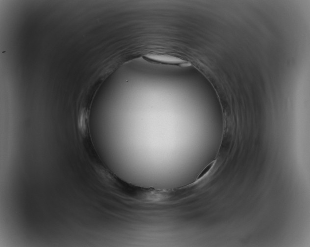 X0000088050094200705251331