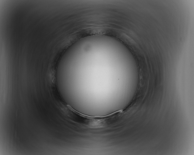X0000088050096200705251331