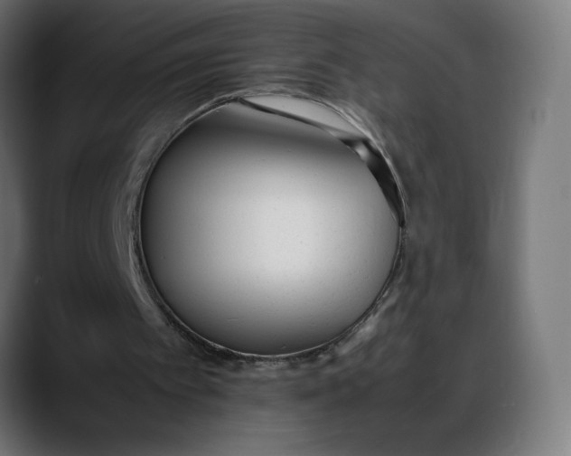 X0000088050097200705251330